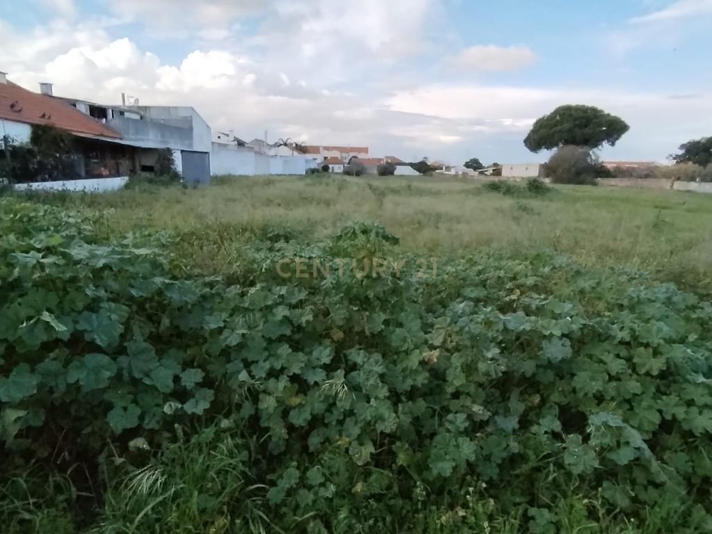 Terreno na Quinta do Anjo com Projeto Inovador para Condomínio Privado - Image 9