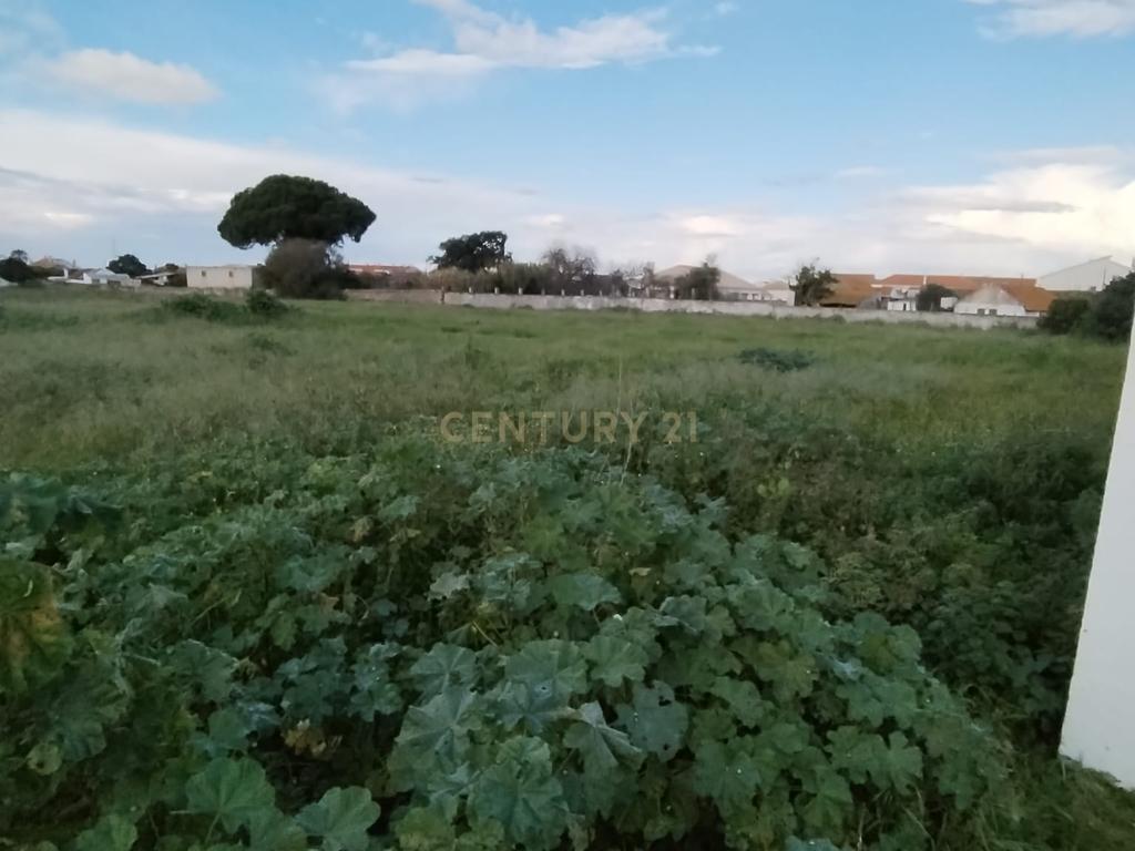 Terreno na Quinta do Anjo com Projeto Inovador para Condomínio Privado - Image 10