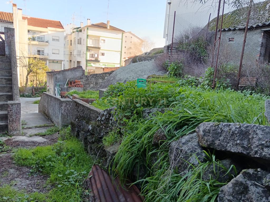 Casa Antiga com Logradouro, em Castelo Branco - Image 12