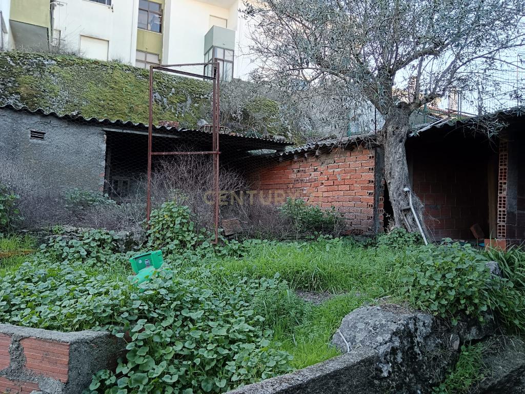 Casa Antiga com Logradouro, em Castelo Branco - Image 10