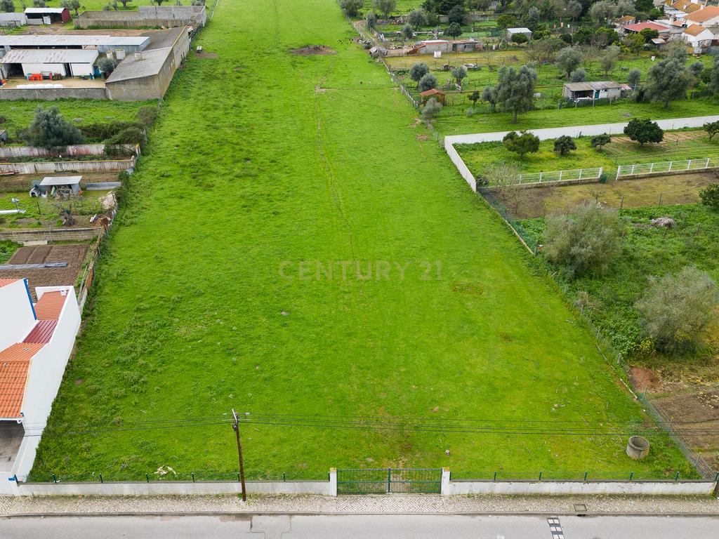 Terreno Em Santo Estevão ( Benavente ) com área de 16. 338 M2 para a construção de Moradias . - Image 8