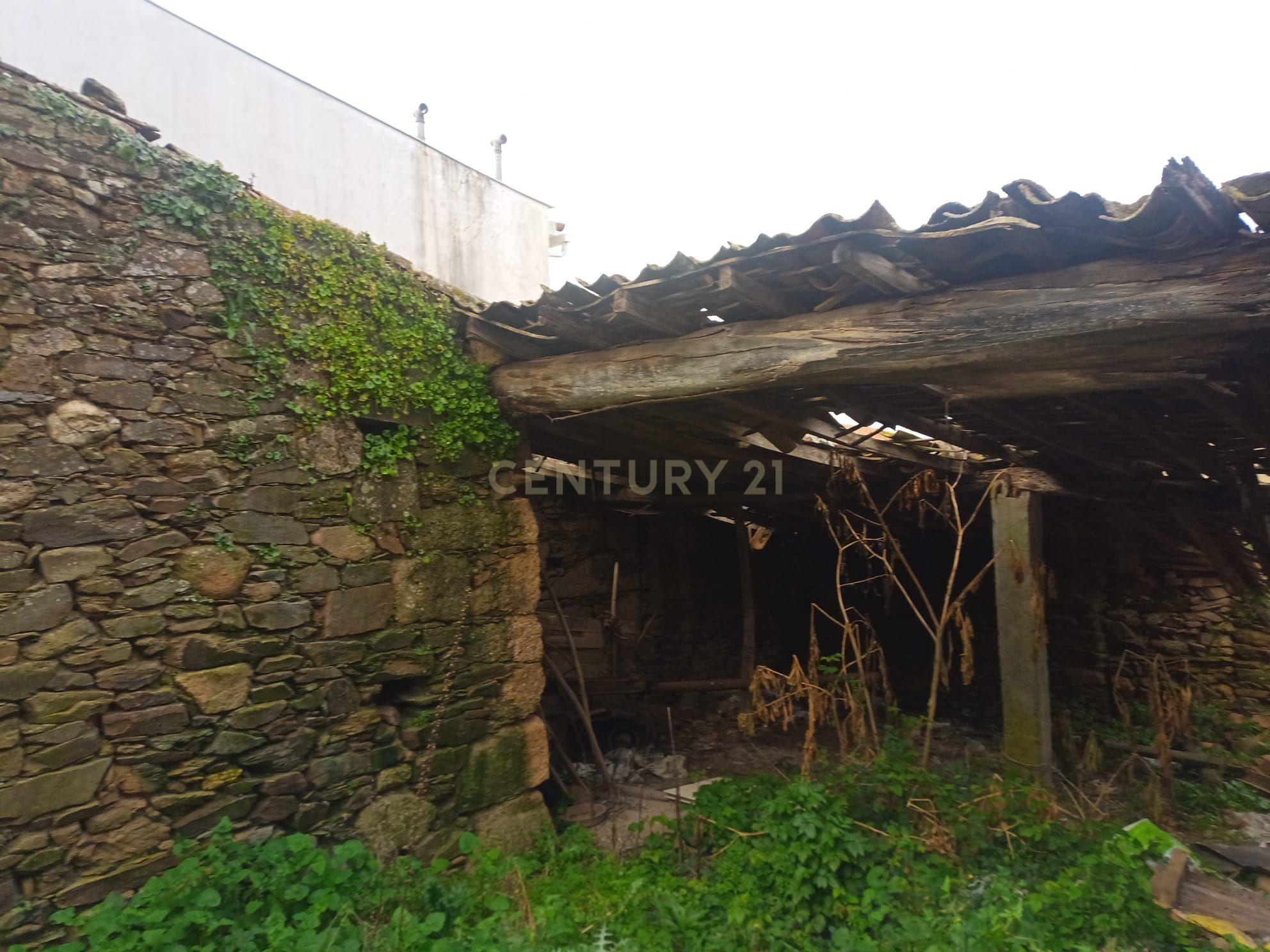 Palheiro em Palvarinho, Salgueiro do Campo,Castelo Branco - Image 4