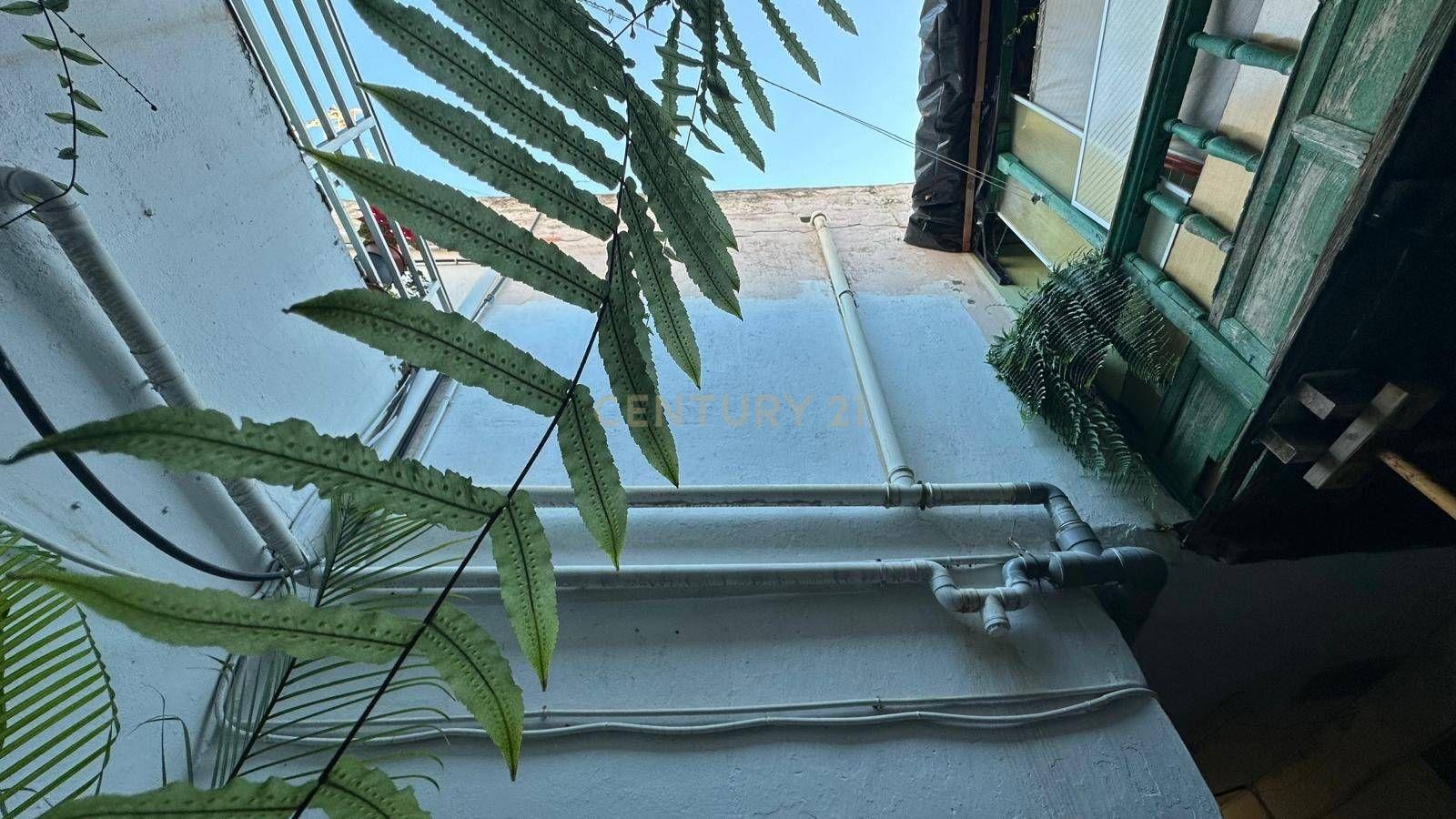undefined - Image 6