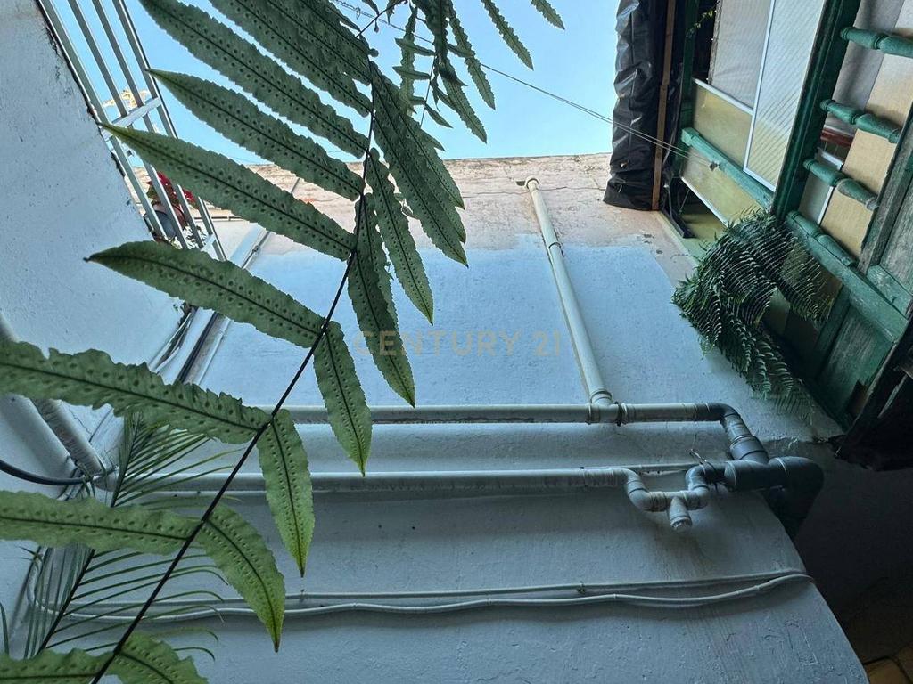undefined - Image 6