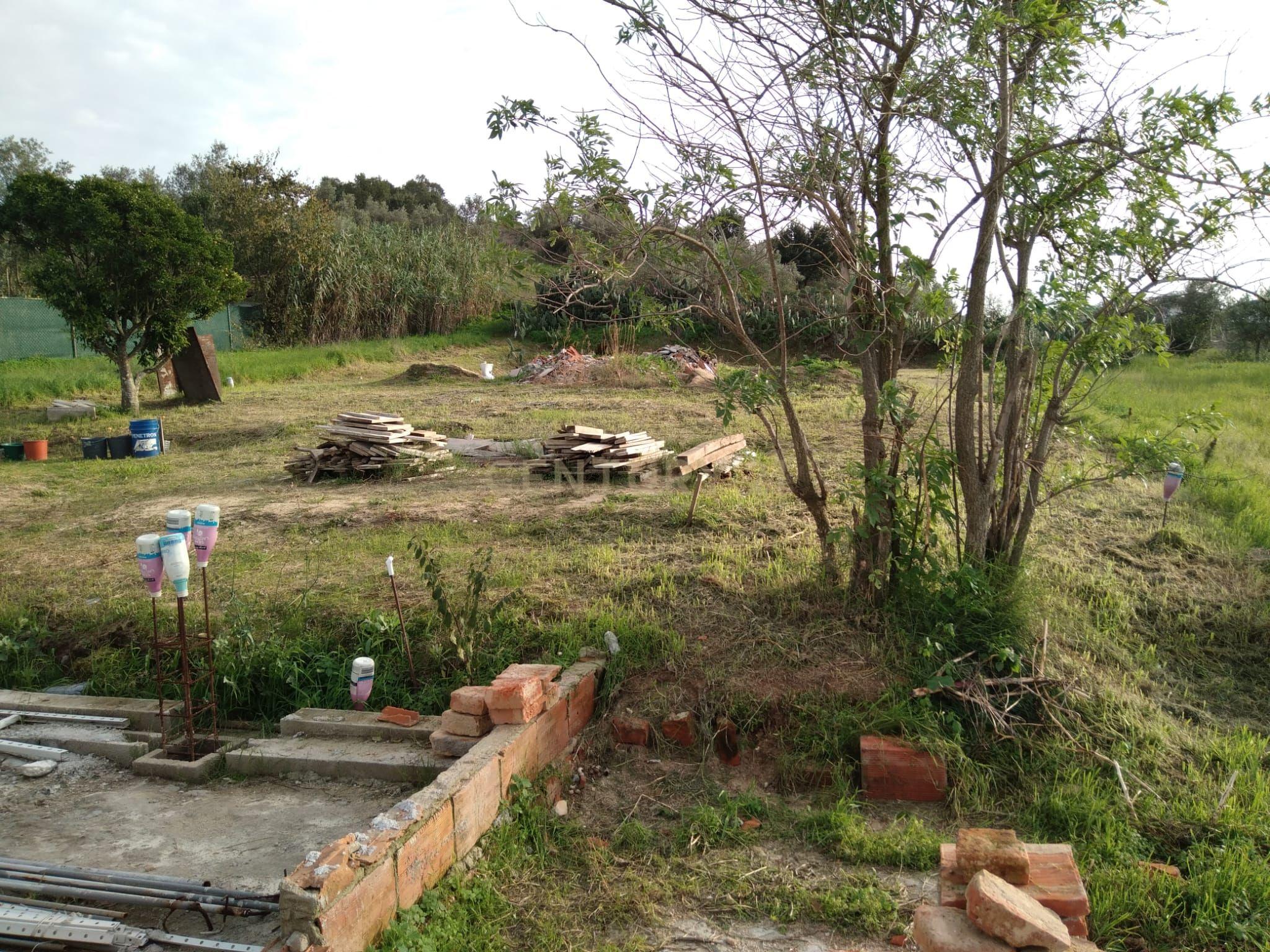 Moradia em Reconstrução – Carregueira, Chamusca - Image 5