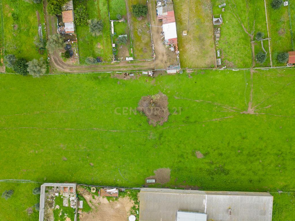 Terreno Em Santo Estevão  ( Benavente ) com área de 16. 338 M2 para a construção de Moradias  . - Image 15