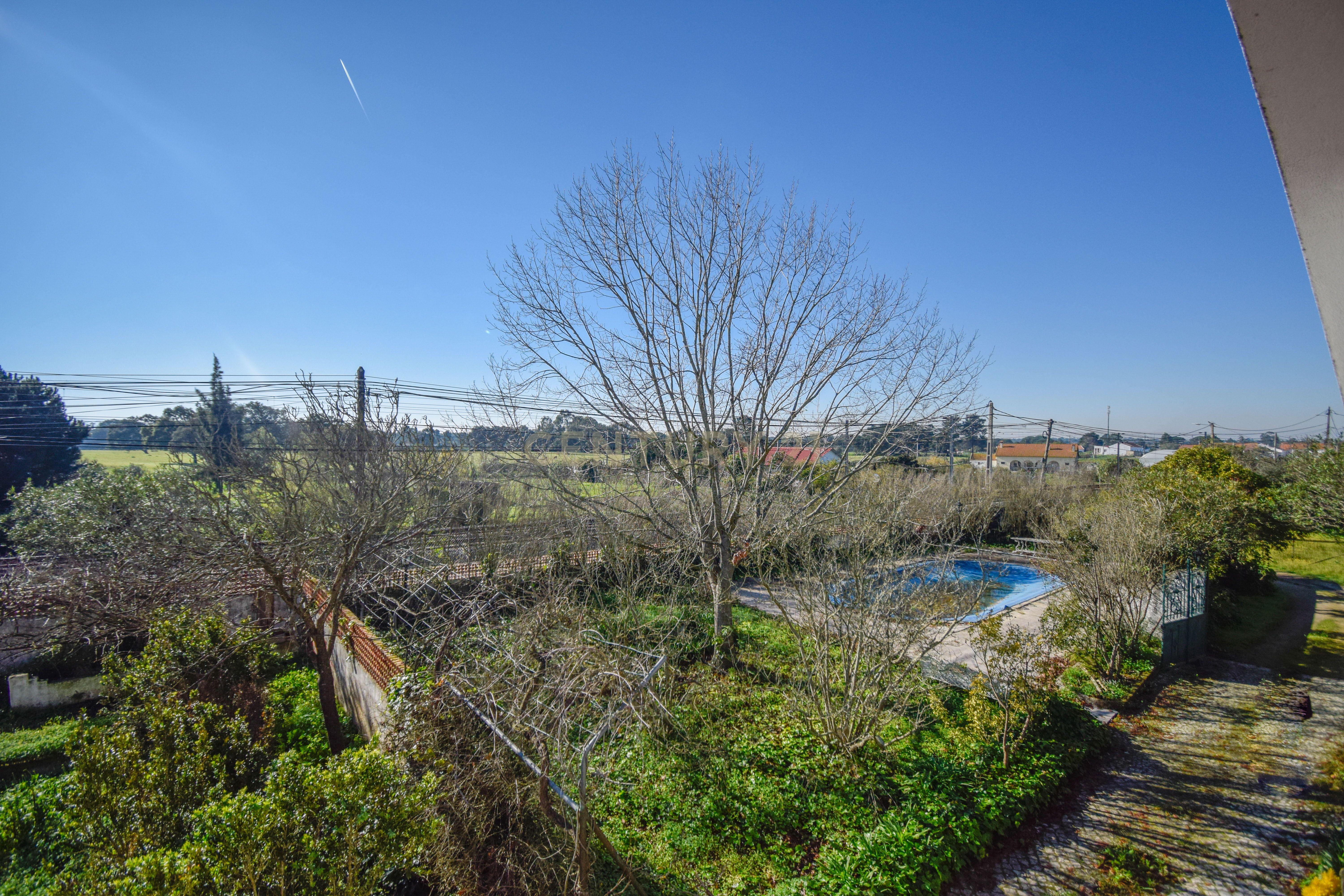 Moradia T9 num terreno de 7.500m2 com garagem e piscina - Pinhal Novo, Palmela, Setúbal - Image 37