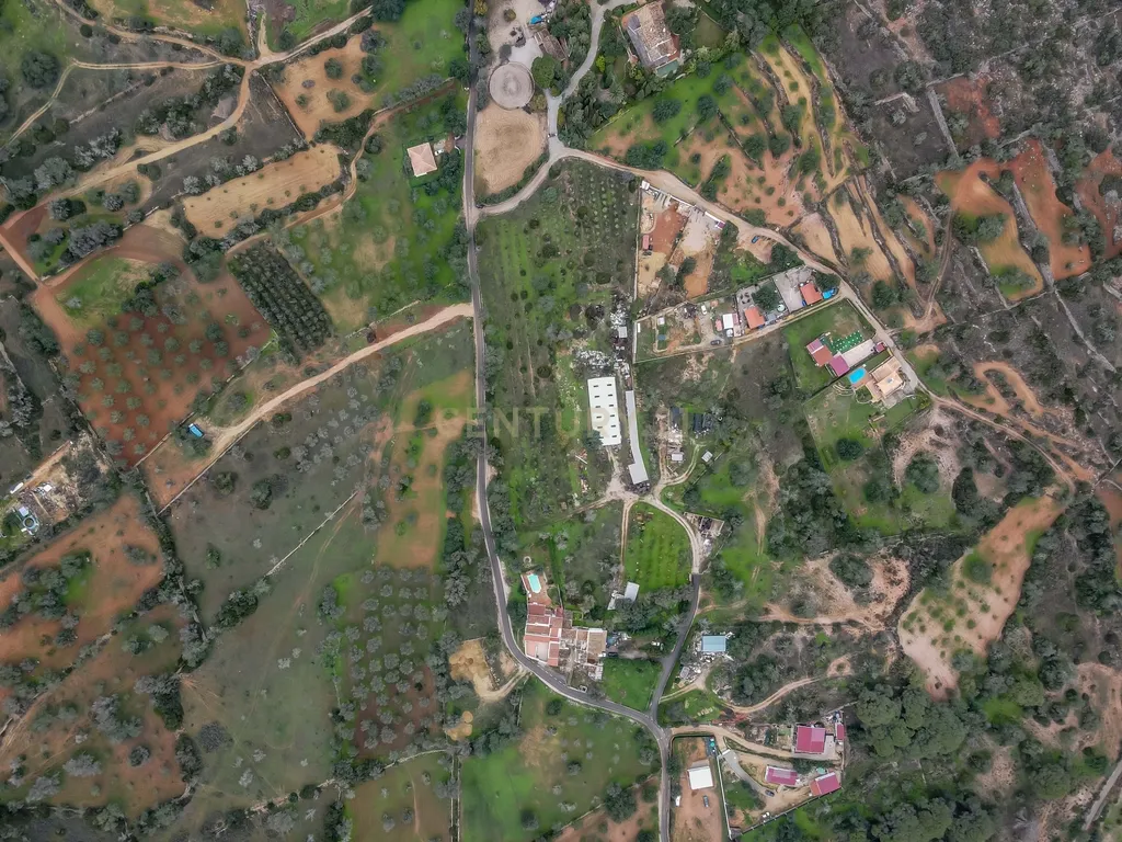 Terreno Rustico com 6400m2 em Boliqueime - Image 7