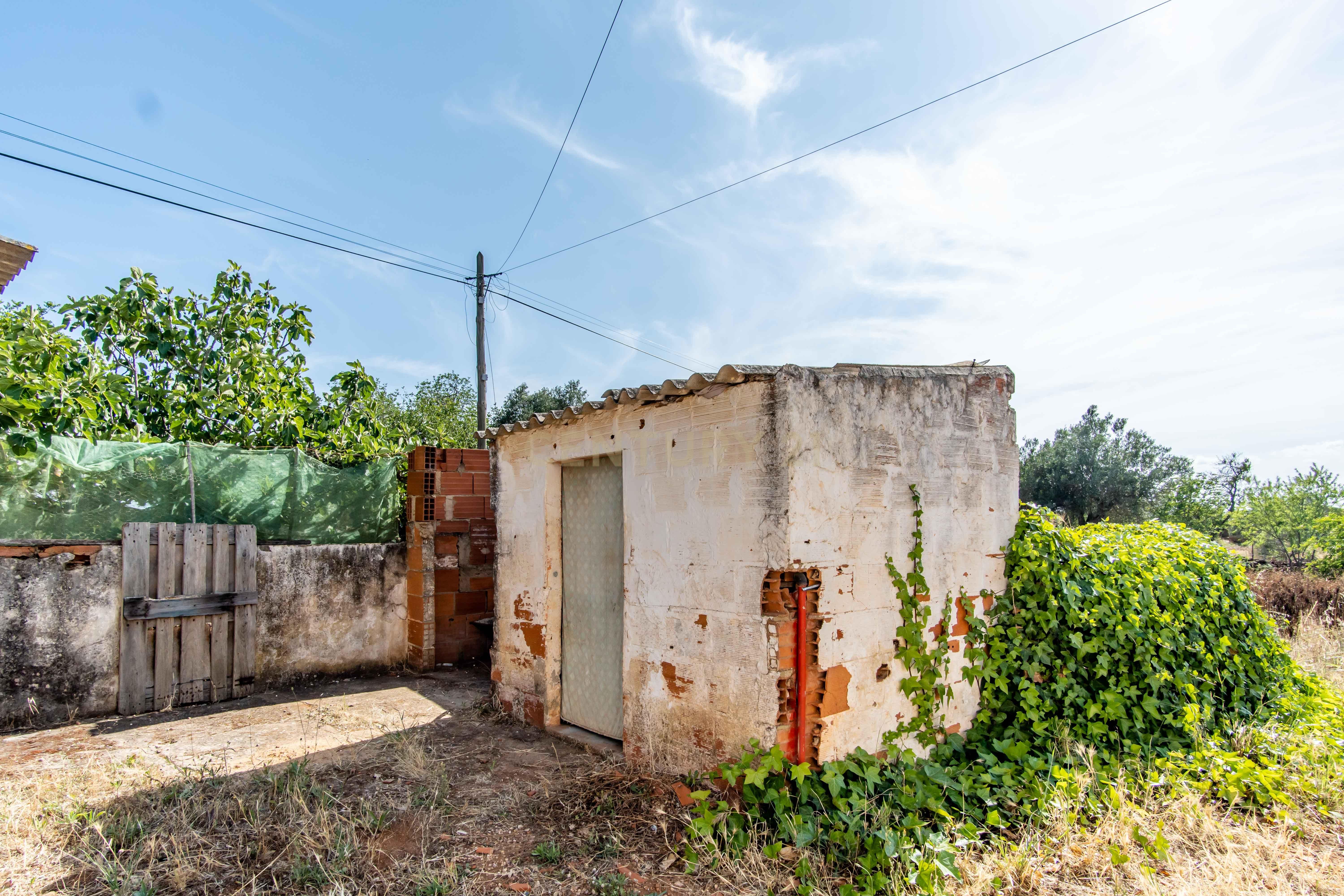 Moradia Térrea | Terreno | Mouricão S.B.Messines - Image 19