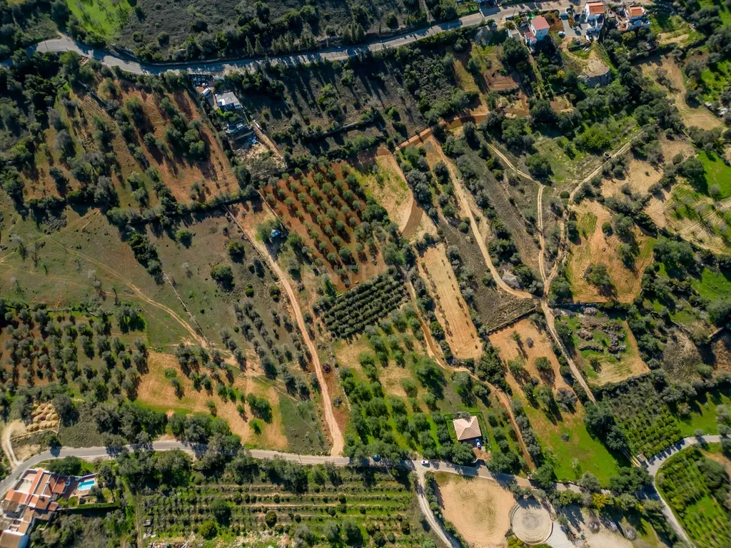 Terreno Rustico com 6400m2 em Boliqueime - Image 11