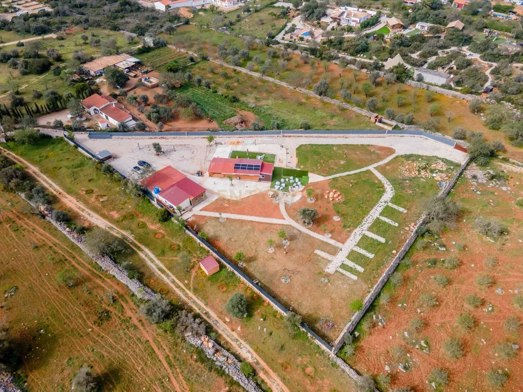 Terreno Rustico de 5600m2 transformado em quinta - Paderne - Image 3