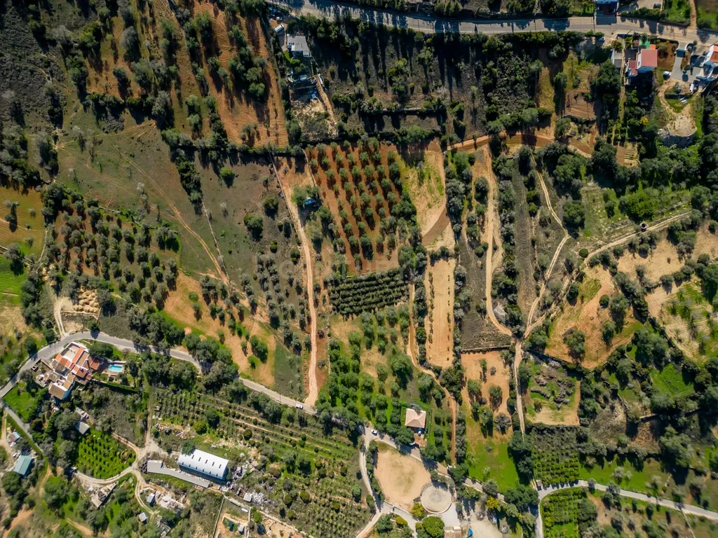 Terreno Rustico com 6400m2 em Boliqueime - Image 12