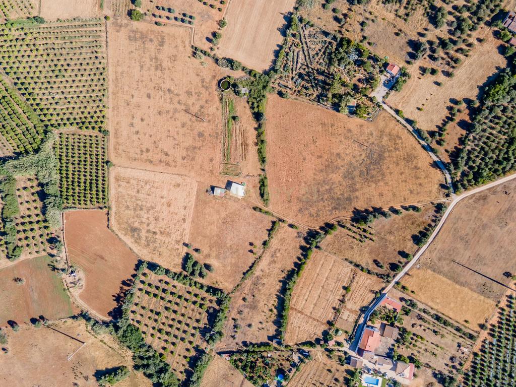 Terreno rústico 48.650m2 | água de barragem | Poço Barreto-Silves - Image 10