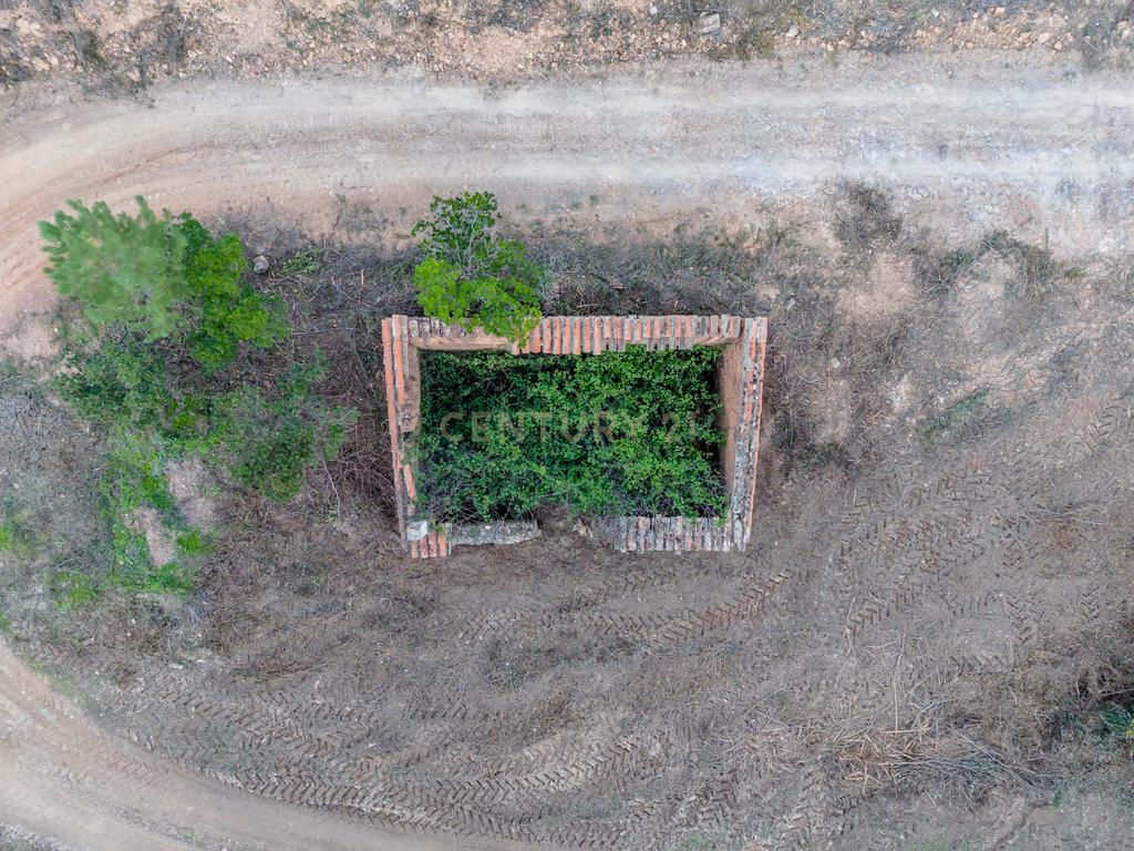 Terreno Rústico de 21 Hectares em Monchique - Image 5