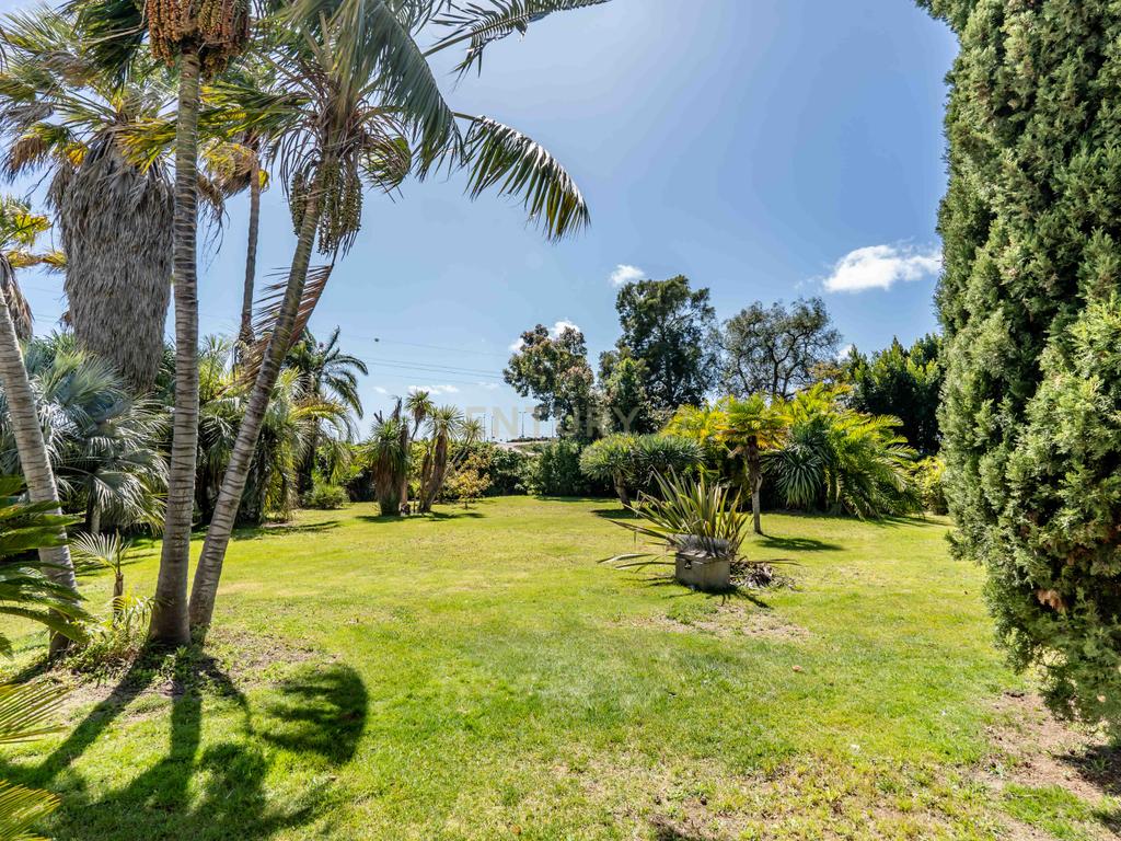 Oásis Privado com Grande Potencial Comercial em Lagoa (Algarve)   - Image 9