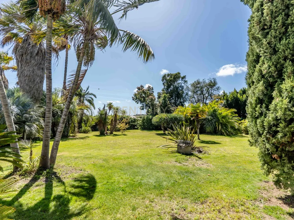 Oásis Privado com Grande Potencial Comercial em Lagoa (Algarve) - Image 9