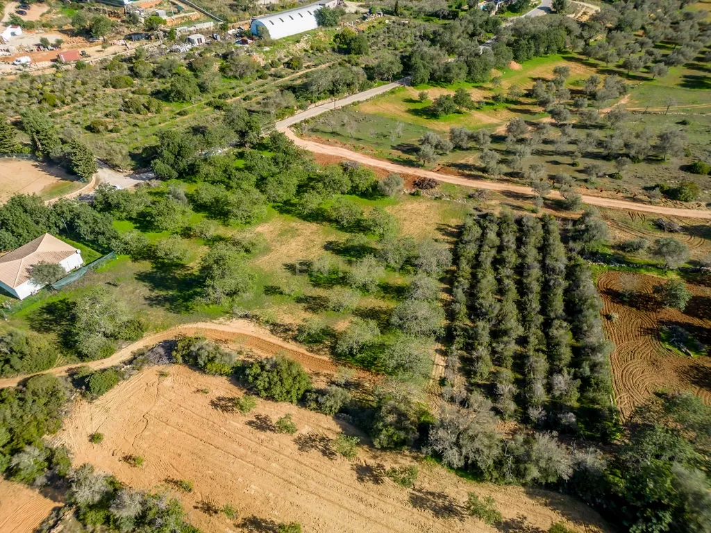 Terreno Rustico com 6400m2 em Boliqueime - Image 1