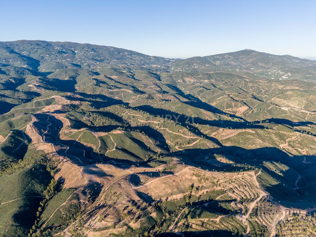 Terreno Rústico de 21 Hectares em Monchique - Image 10