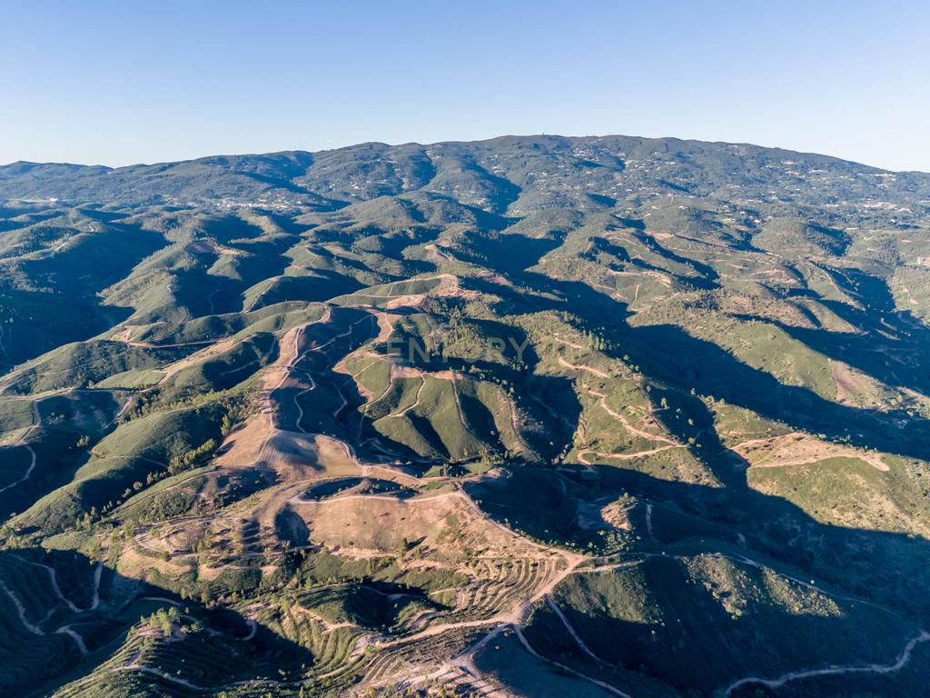 Terreno Rústico de 21 Hectares em Monchique - Image 11