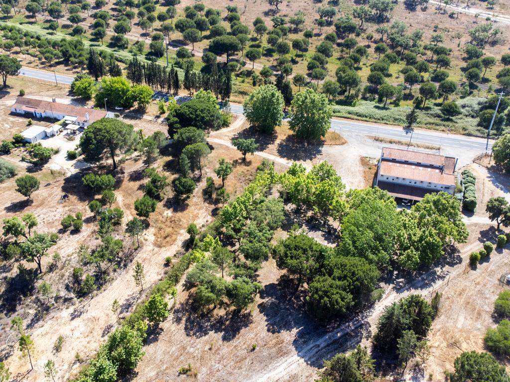 Arrendamento - Encantadora Herdade em Évora, Montemor-o-Novo — Lavre  - Image 6