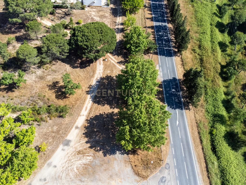 Arrendamento - Encantadora Herdade em Évora, Montemor-o-Novo — Lavre  - Image 12