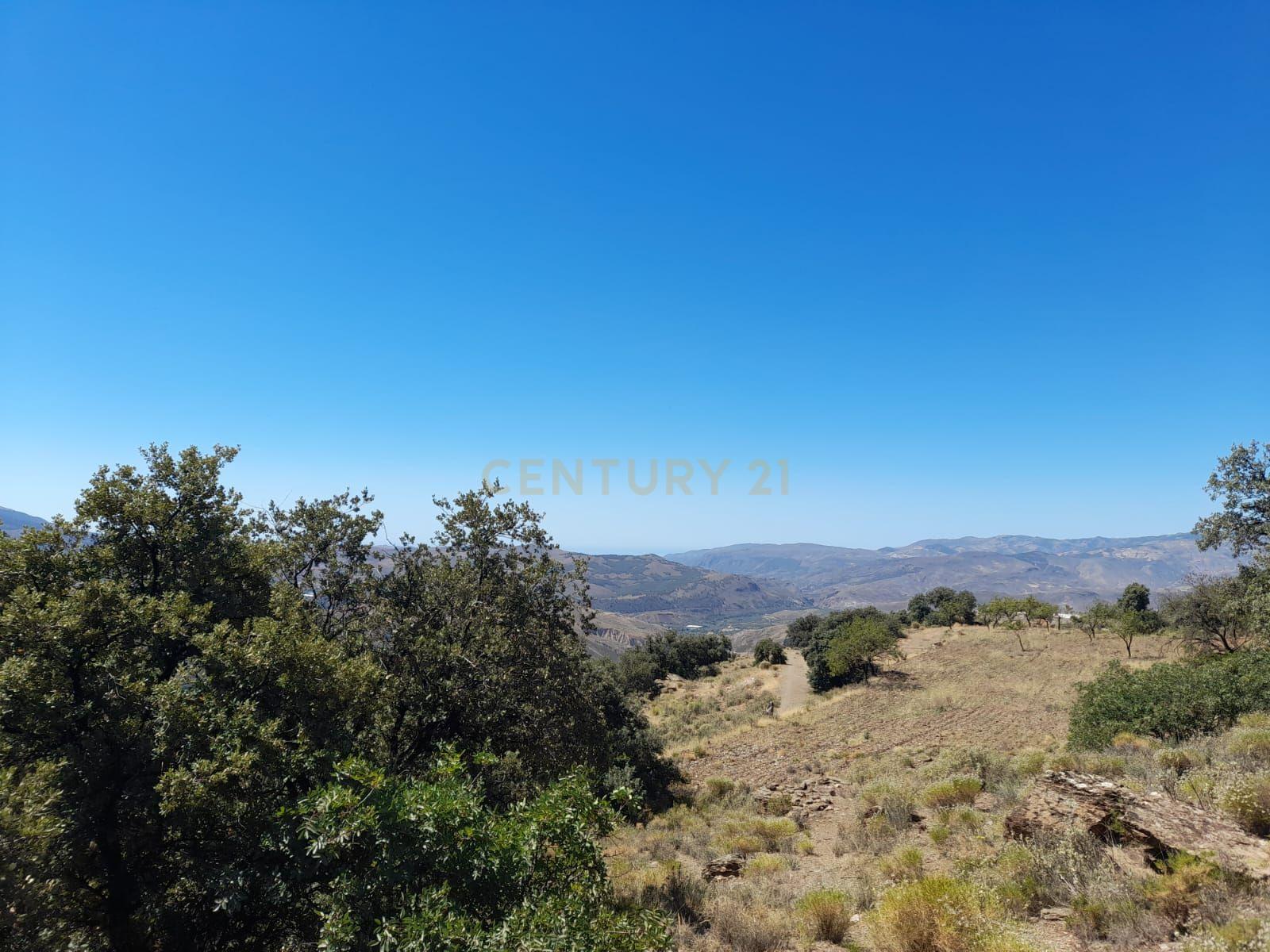 undefined - Image 1
