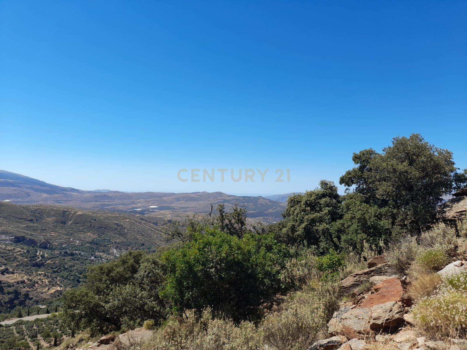 undefined - Image 5