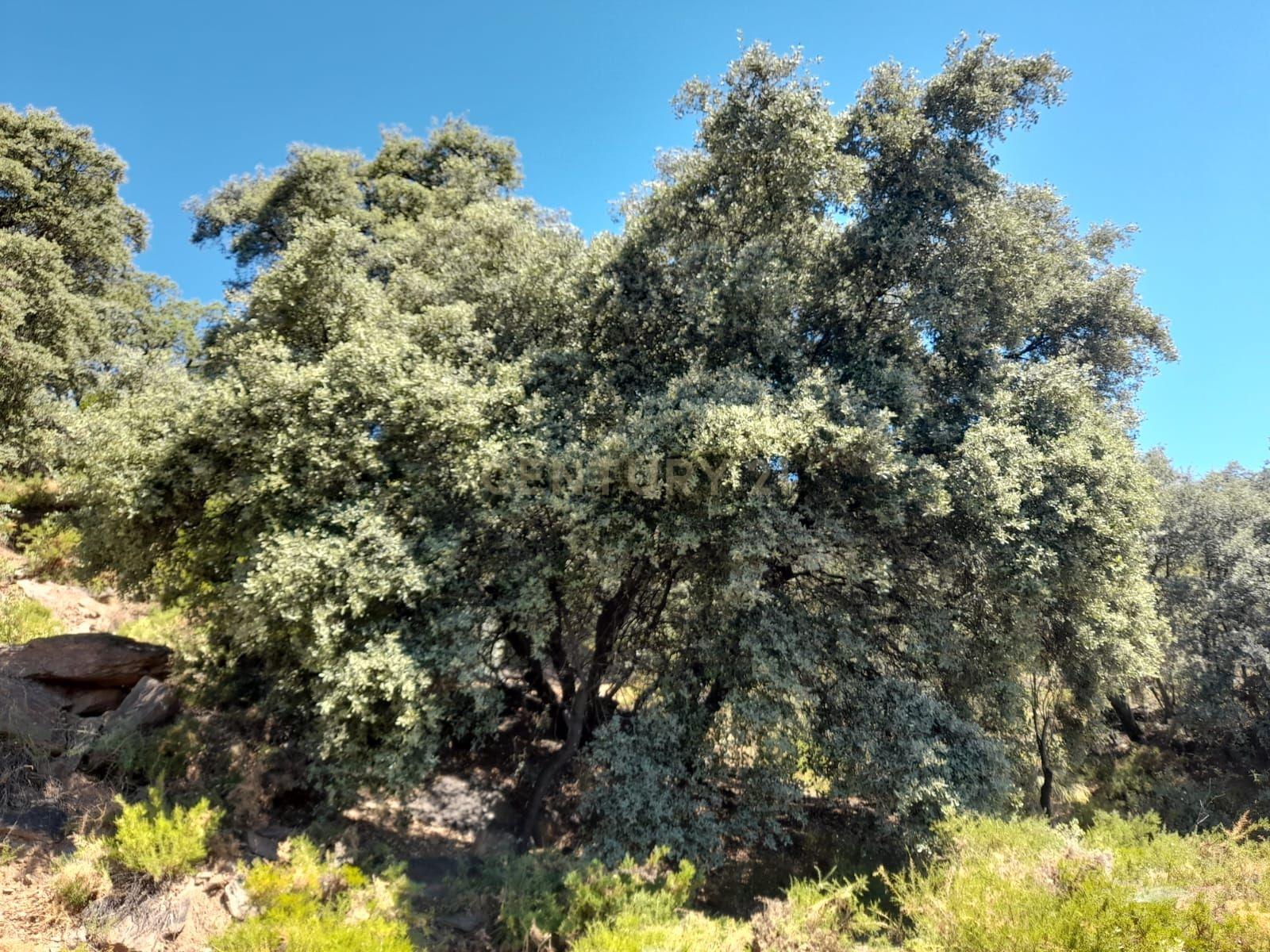 undefined - Image 6