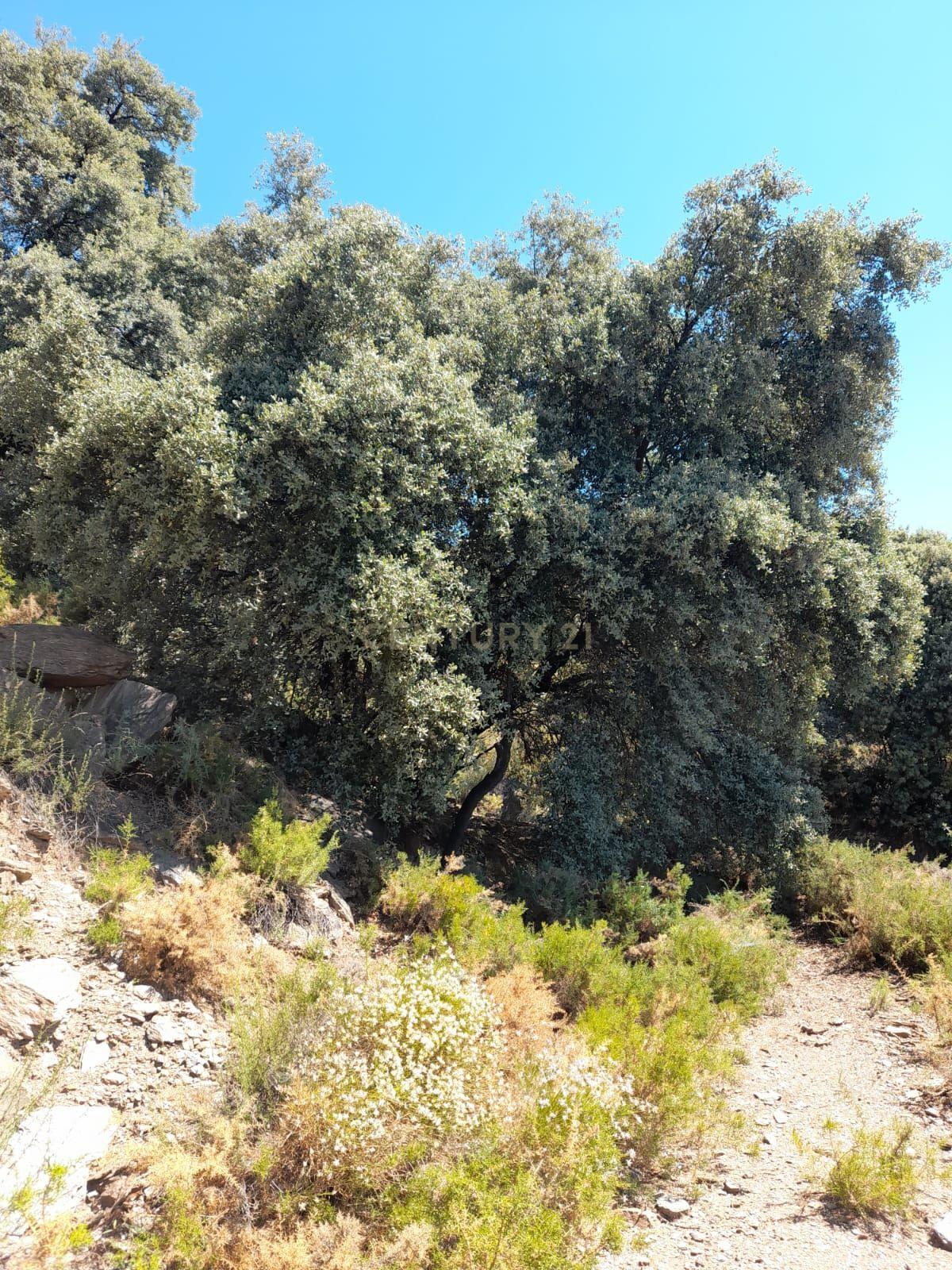 undefined - Image 3