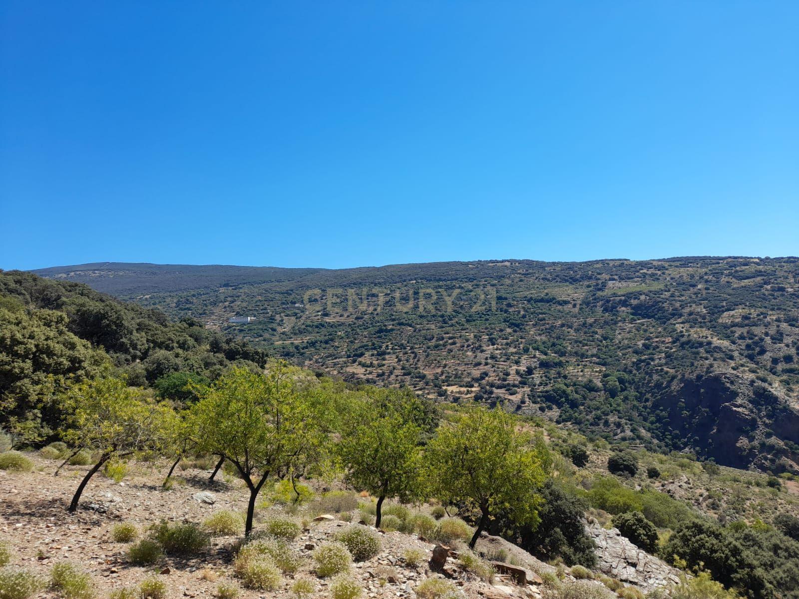 undefined - Image 7