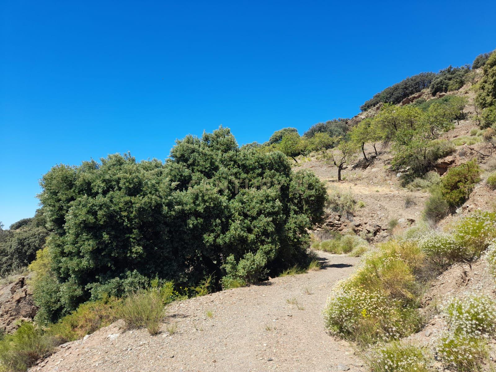 undefined - Image 8
