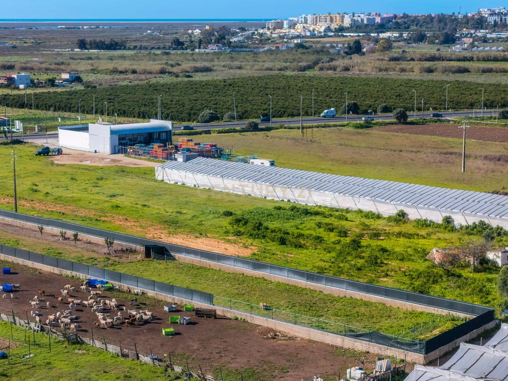 Moradia para reabilitar | Terrreno 4759m2 | Faro | Algarve - Image 32