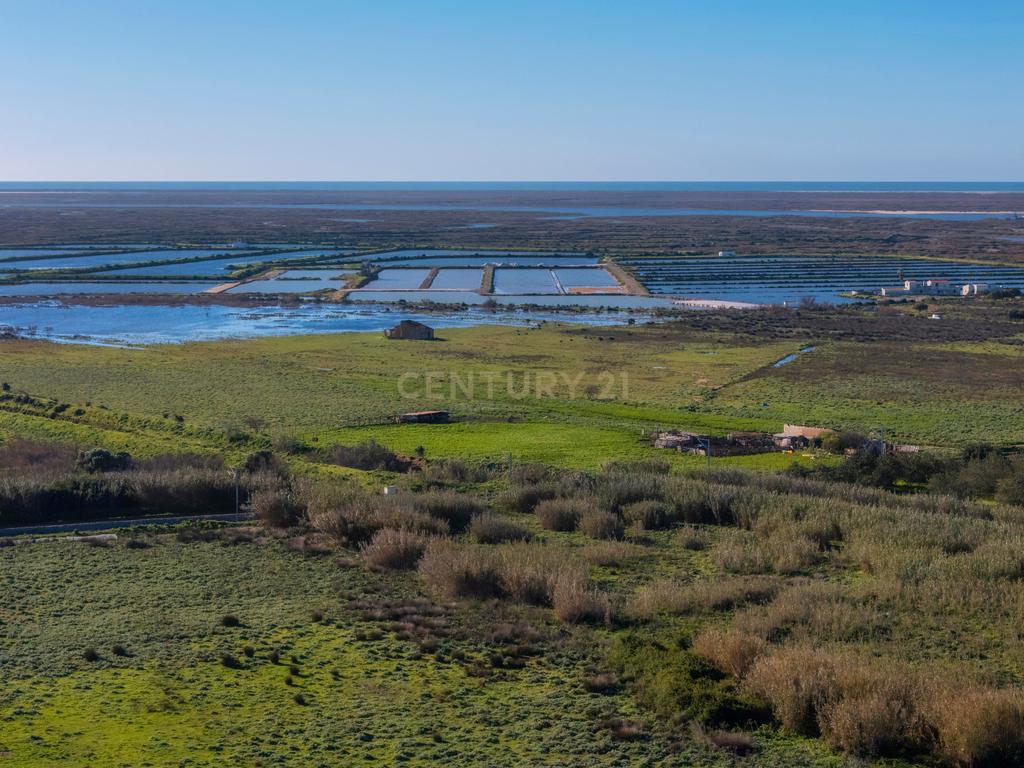 Moradia para reabilitar | Terreno 27757m2 | Faro | Algarve - Image 9