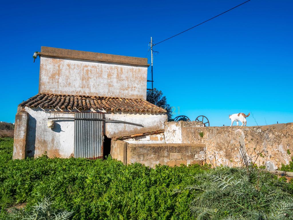 Moradia para reabilitar | Terreno 27757m2 | Faro | Algarve - Image 25