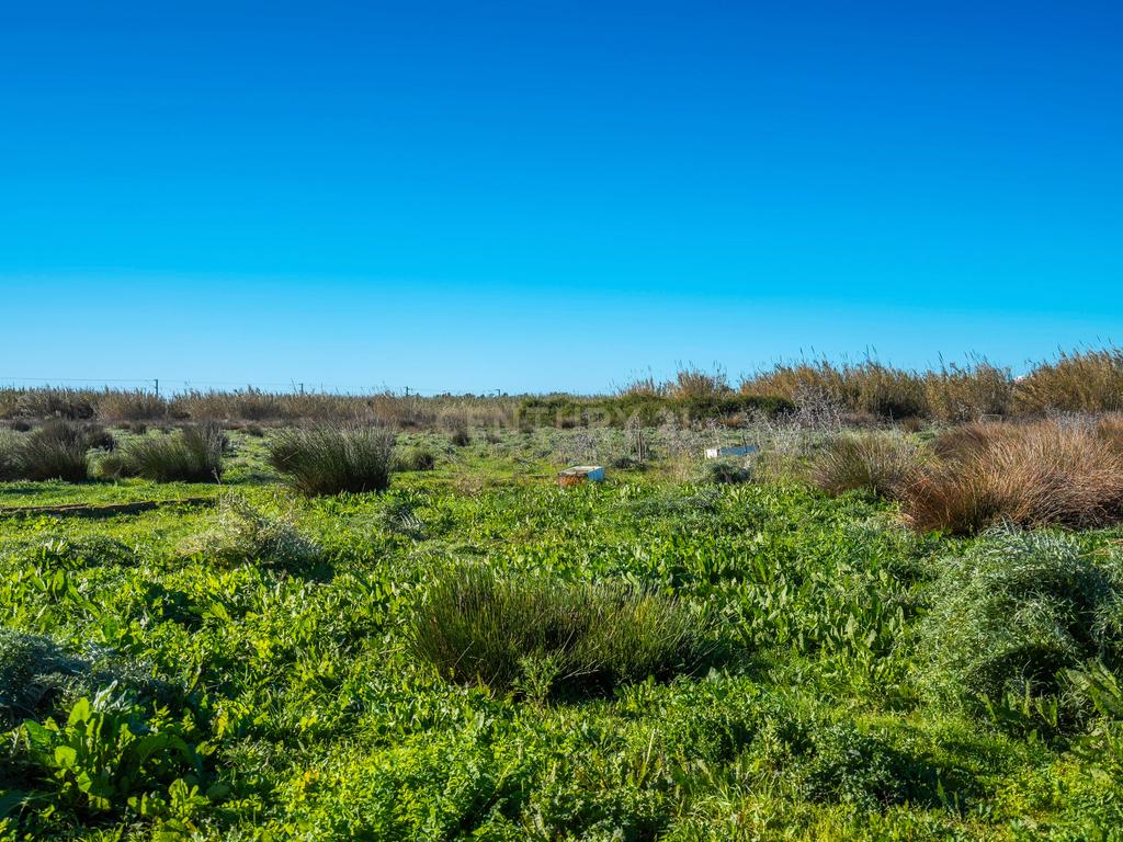 Moradia para reabilitar | Terreno 27757m2 | Faro | Algarve - Image 32