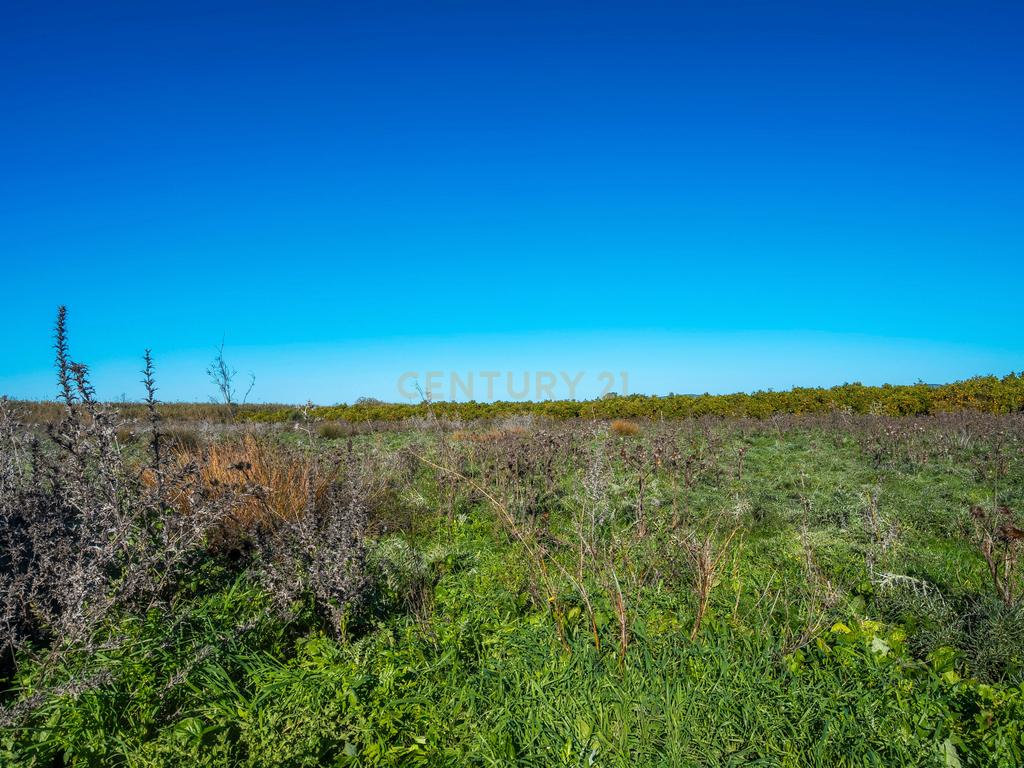 Moradia para reabilitar | Terreno 27757m2 | Faro | Algarve - Image 43