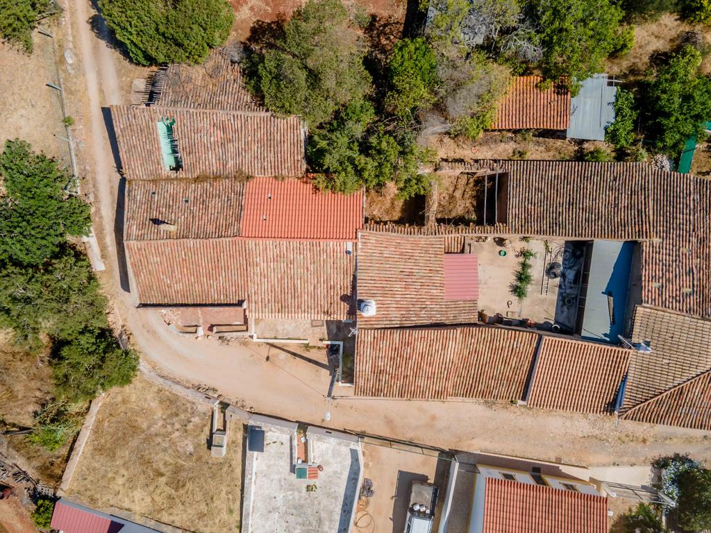 Quinta com moradia para reabilitação - Image 10