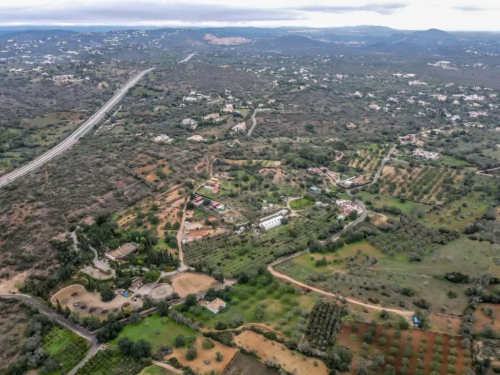 Terreno Rustico com 6400m2 em Boliqueime - Image 4