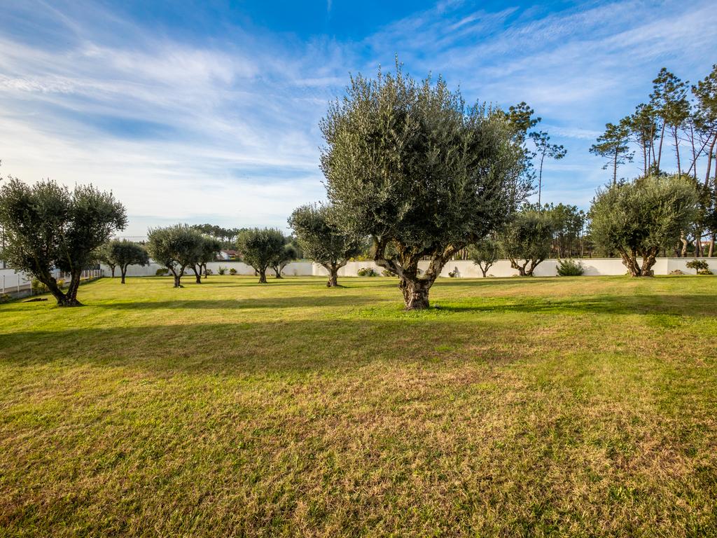 Moradia T6 | Coimbrão | Piscina | Praia - Image 84