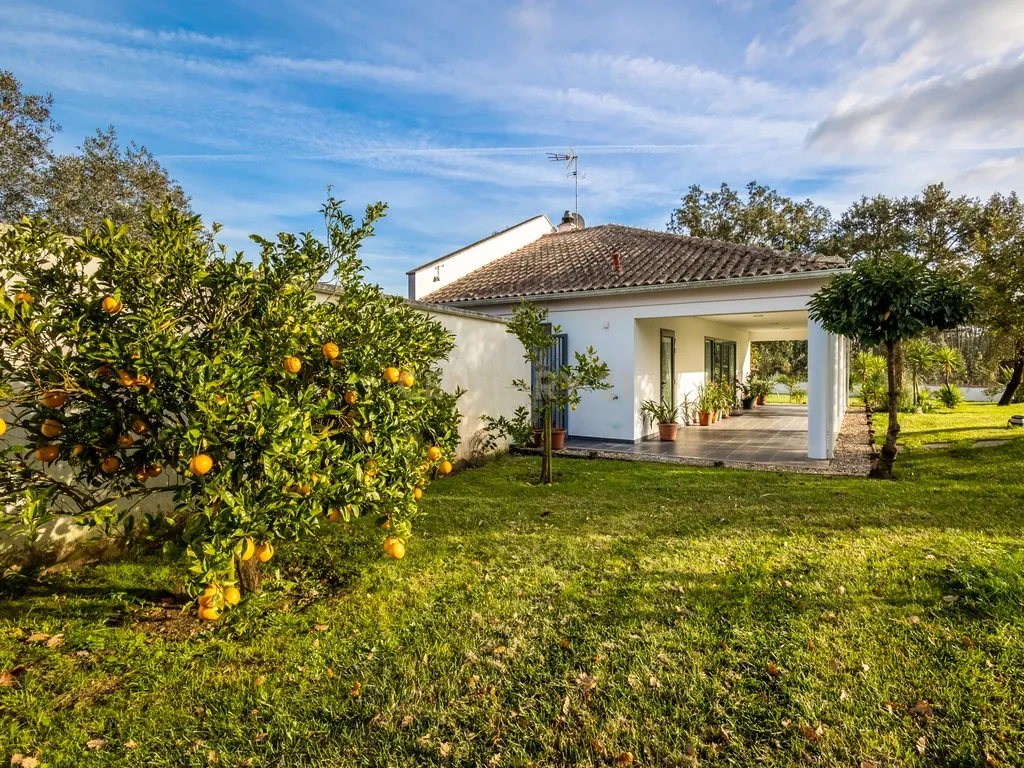Moradia T6 | Coimbrão | Piscina | Praia - Image 63