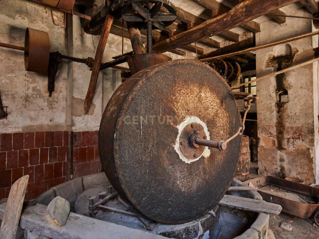 undefined - Image 40