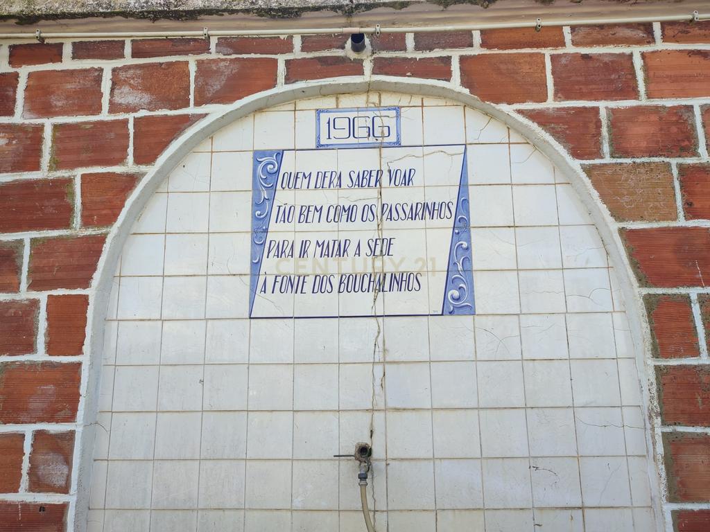 Quinta 54ha, Escalos de Baixo, Castelo Branco - Image 46