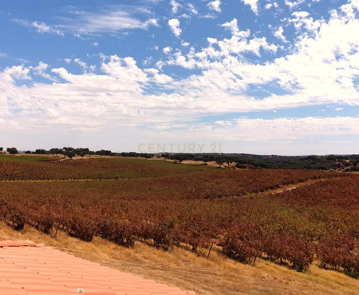 Herdades com produção Vinho, com 157,3ha situada em Terrugem, concelho de Elvas - Image 29