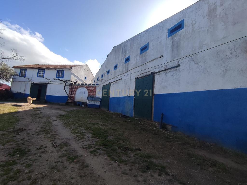 Quinta 54ha, Escalos de Baixo, Castelo Branco - Image 69