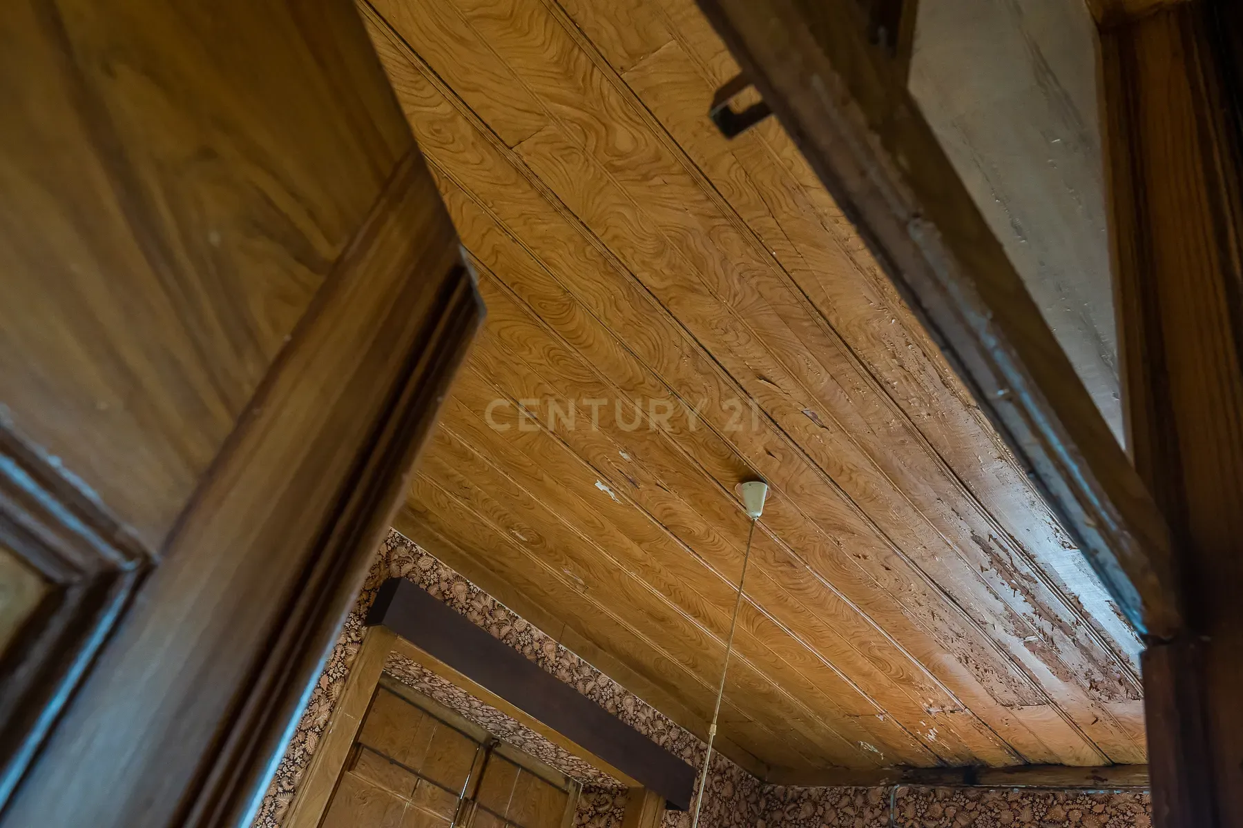 Prédio com 370m2 no Bairro Salgado para remodelação total - Image 33