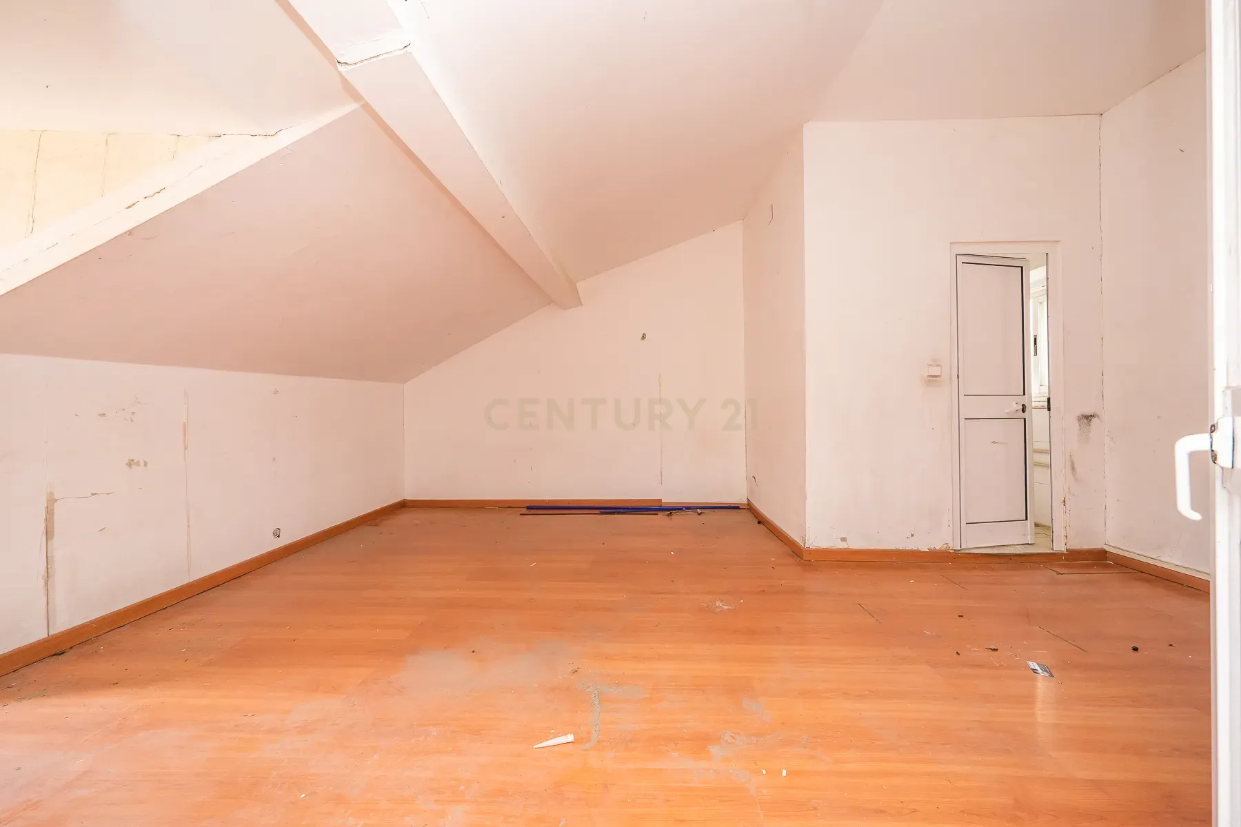 Prédio com 370m2 no Bairro Salgado para remodelação total - Image 37