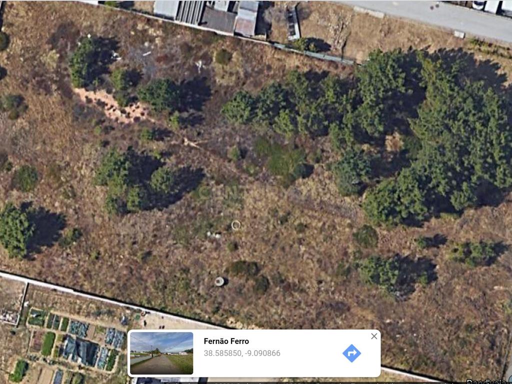 Lote de Terreno Urbanizável com 5.050m2 | Laranjeiras | Fernão Ferro - Image 9