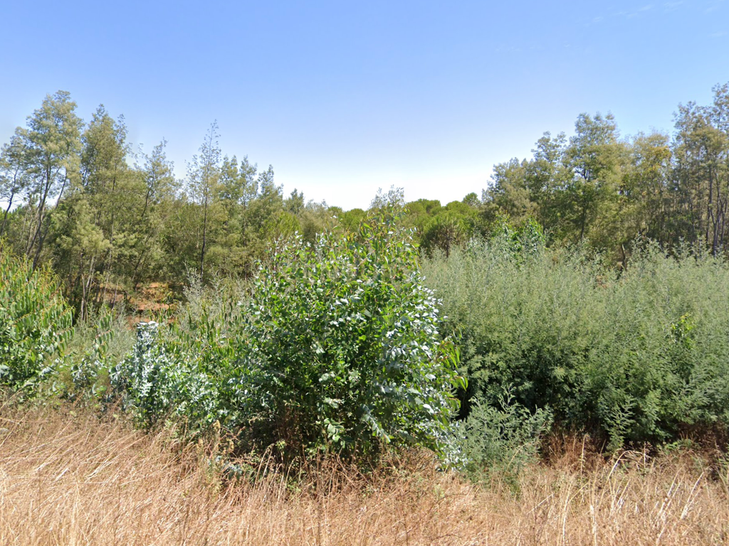 Herdade Raco-de-Baixo - Image 9
