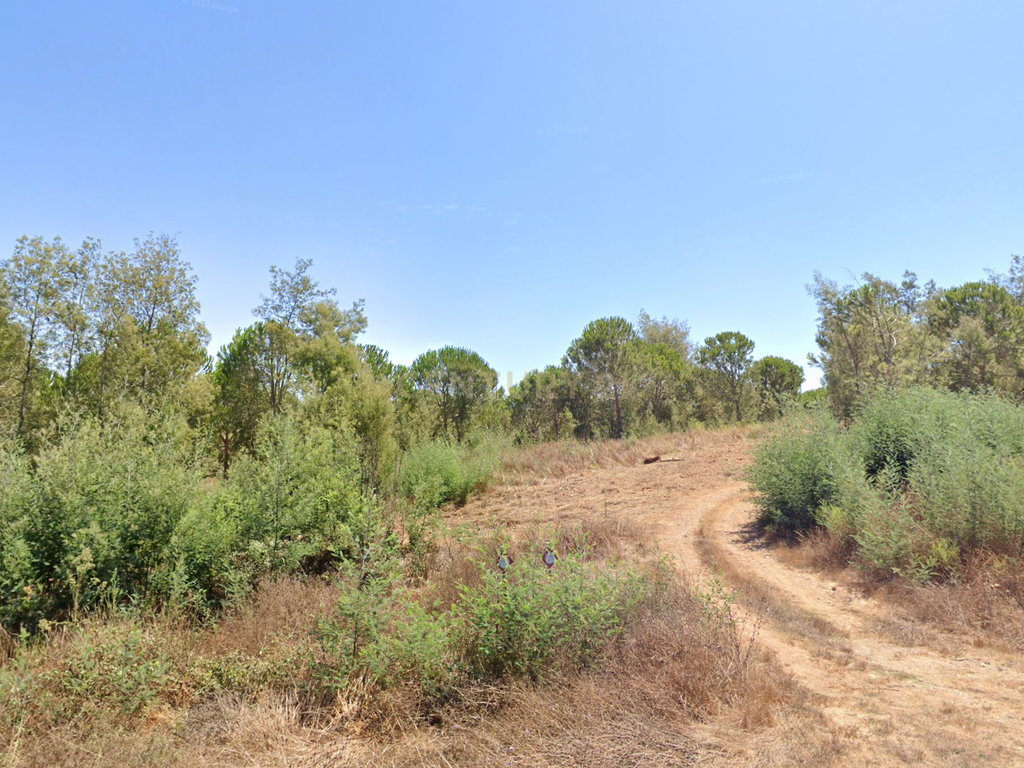 Herdade Raco-de-Baixo - Image 8
