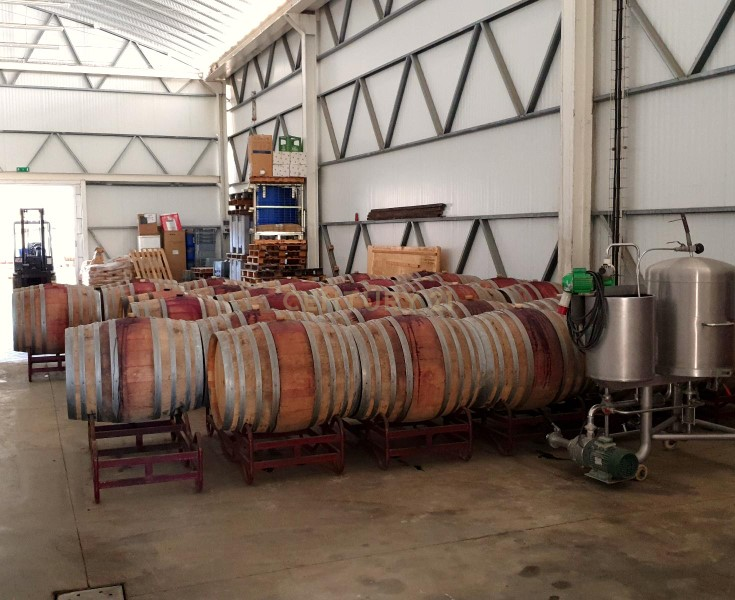 Herdades com produção Vinho, com 157,3ha situada em Terrugem, concelho de Elvas - Image 27